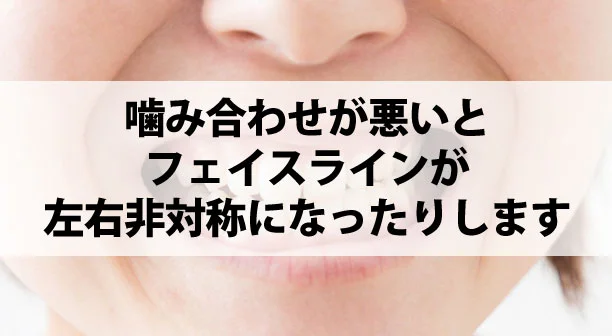 02-03 | ルーチェマウスピース矯正歯科 歯のメカニズム